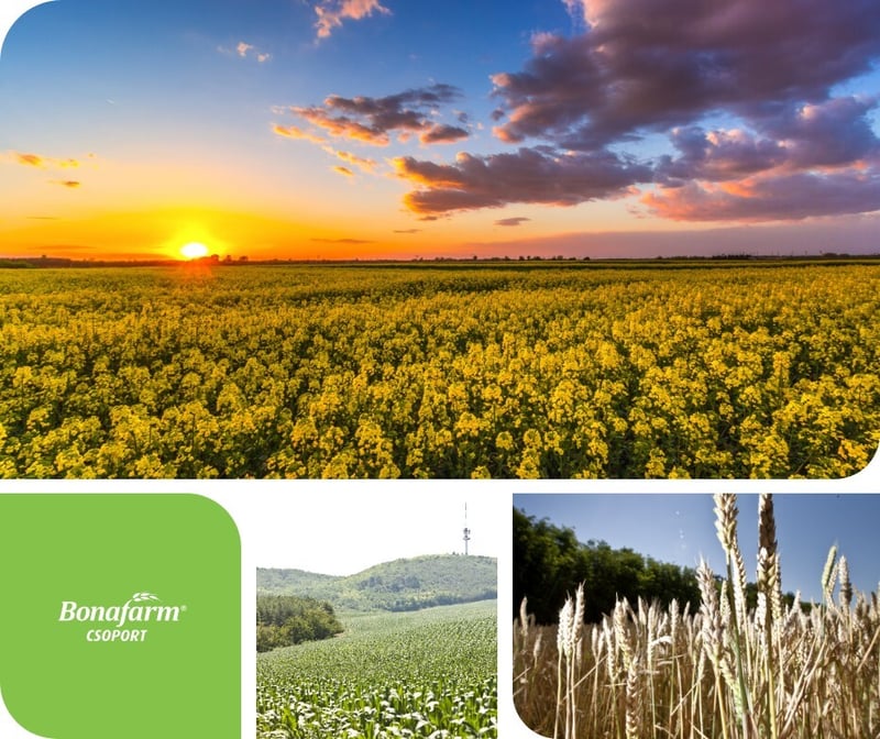 bonafarm group photo of differenct sectors in agriculture, such as crop production, feed manufacturing, live stock
