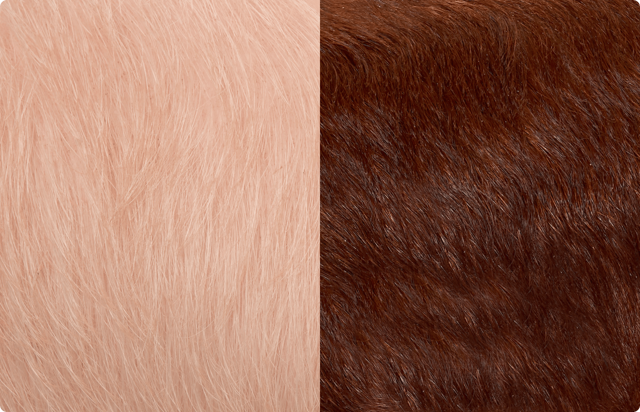 WEB 1280x827 Hero 1A DLY hair