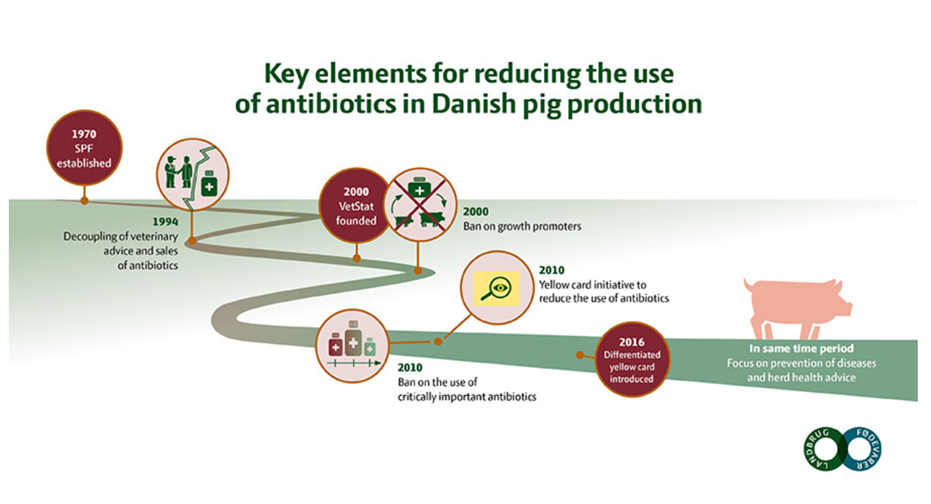 Key elements for reducing the use of antibiotics in Danish pig prodcution