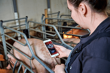 Pig Finisher Manual | DanBred