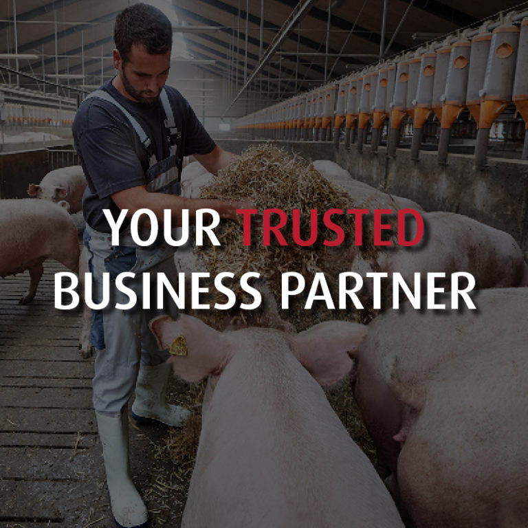 Our Solutions | DanBred