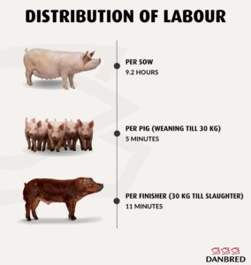 Labour costs - distribution of labour