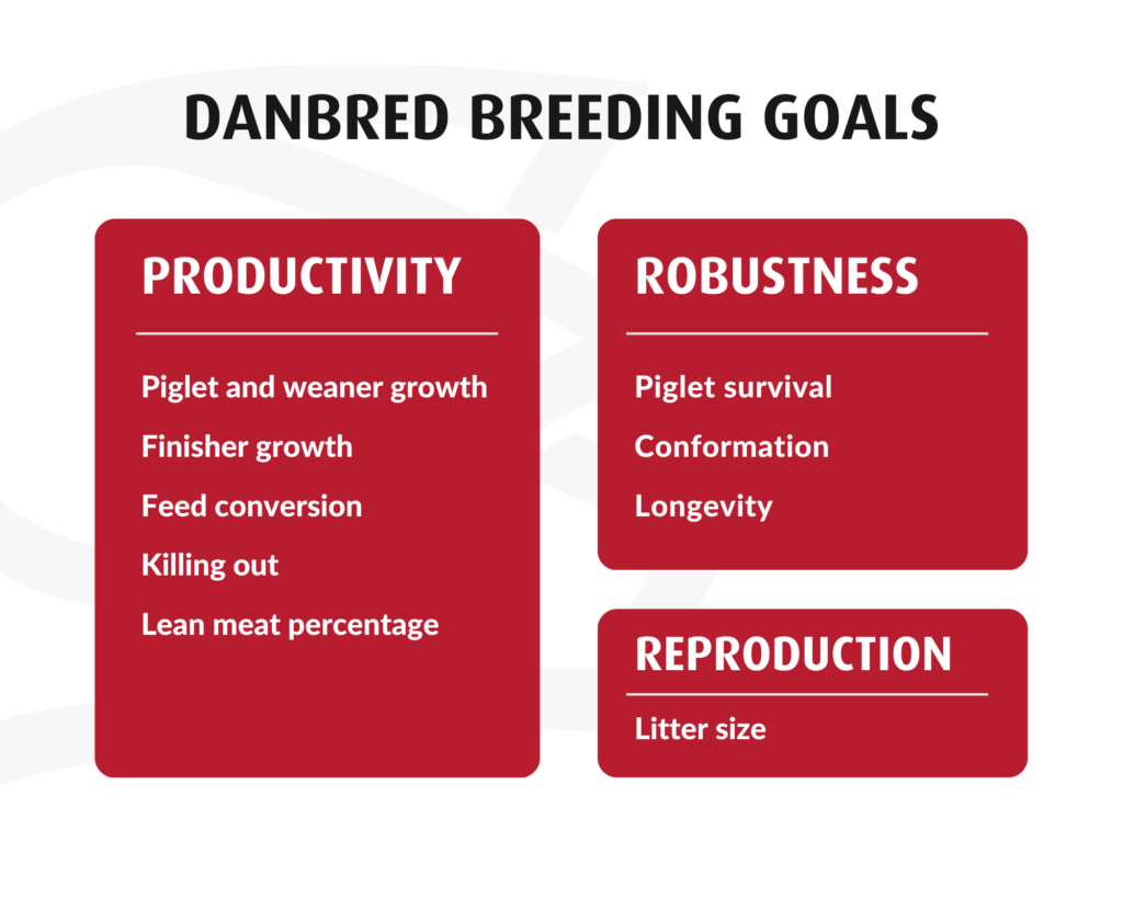 DanBred breeding goals