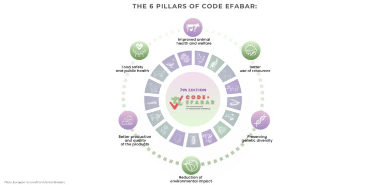 Code-EFABAR