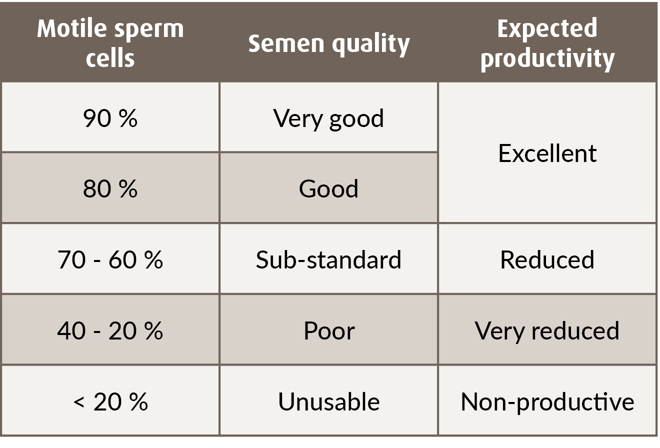 Boar training 2 - evaluation of the boar | DanBred